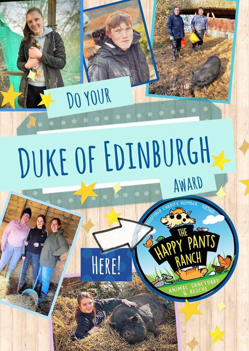 The Happy Pants Ranch Animal Sanctuary (@happypantsranch) on Twitter photo 