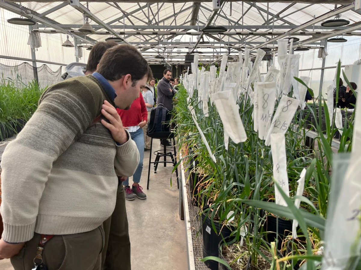 Fundación Por Pergamino tweet media