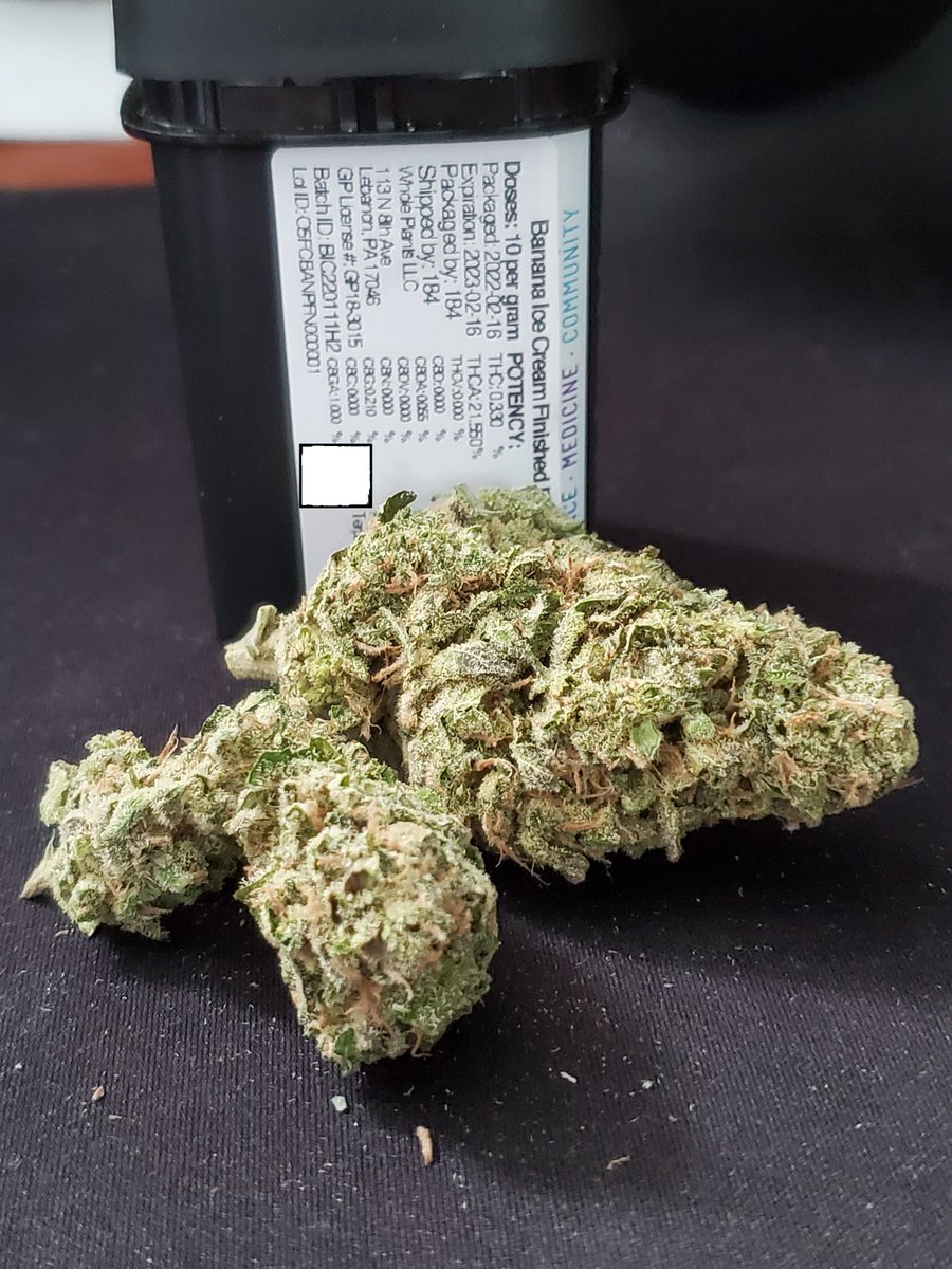 bud_ease_'s tweet photo. Whole Plants Banana Ice Cream eighth. This is definitely a night time strain as it provided feelings of relaxation for a full body effect. Heavy taste of banana cream. #pamedicalmarijuana #pammjpatients #pammj #pammjreviews #pammjpatient #mmjcommunity #mmjpatients #mmjlifestyle https://t.co/kuq46NfAul