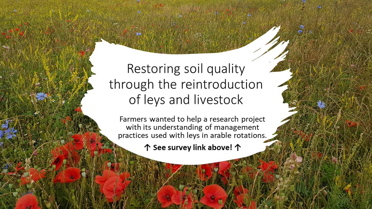 EmilyCooledge's tweet photo. 📢 Farmers, we need you!📢
Our #research project needs to know how farmers are managing their #leys, if they use livestock + if they run into any issues in the following #crop. Help us understand better to inform future policies! 
✍️Survey link is here: https://t.co/LXubvPZxpg https://t.co/3dfeheFgti