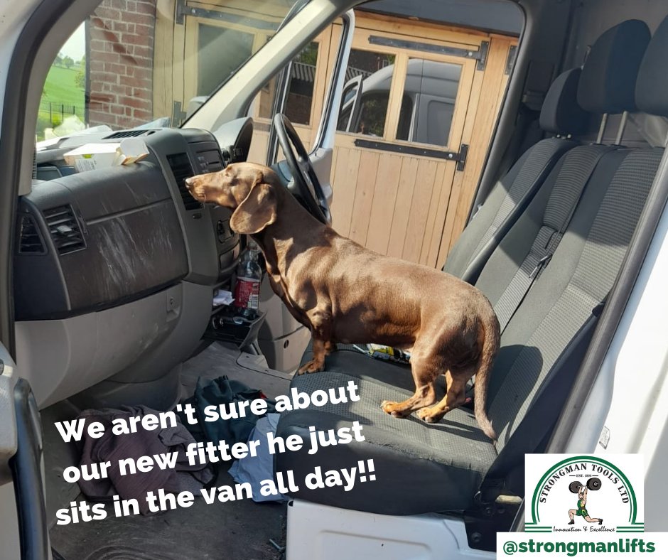 #fridayfun 
Here's a picture of one of our customer's dogs checking out the van at a recent fitting and keeping an eye on our fitters as they install a customer lift! 😃

#customerspets #fittingteam #carliftinstallation #strongmanlifts