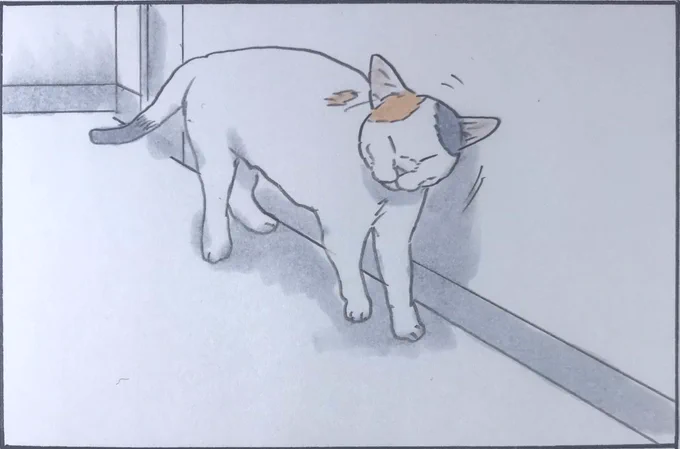 『カベまくら』 