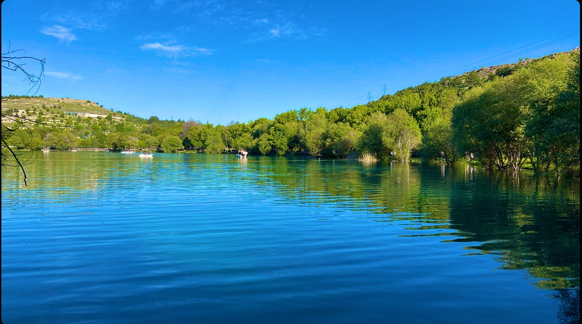 🦋 (@dryahin) on Twitter photo 