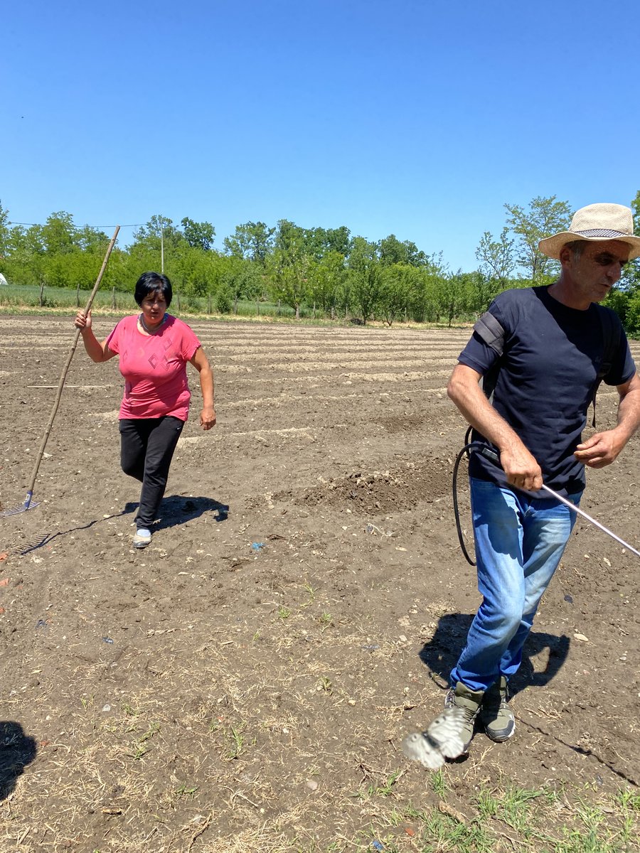 Uživali smo u poseti Milekićima iz Katrge i zabeležili njihovu priču o uzgajanju kornišona u okviru Global Sistem Kooperative. Pridružila se i koordinatorka kooperative, Snežana Marković Đurović, koja je inspirativno pričala o saradnji sa 450 proizvođača.
Hvala našim domaćinima!