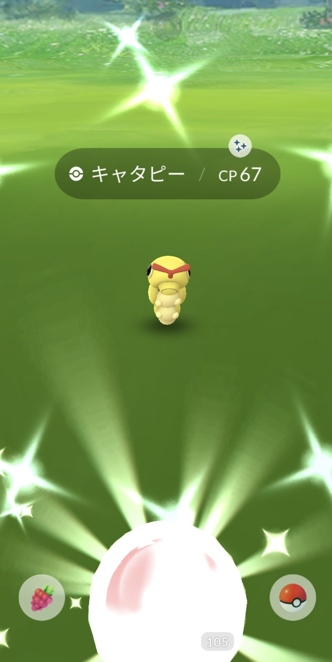 ちろる 初キャタピー 嬉しい 珍しく1日で2体も色違い 仕事は大量 残業はするな やってられませんね ポケモンgo 色違い T Co Wfo8w9ebfp Twitter