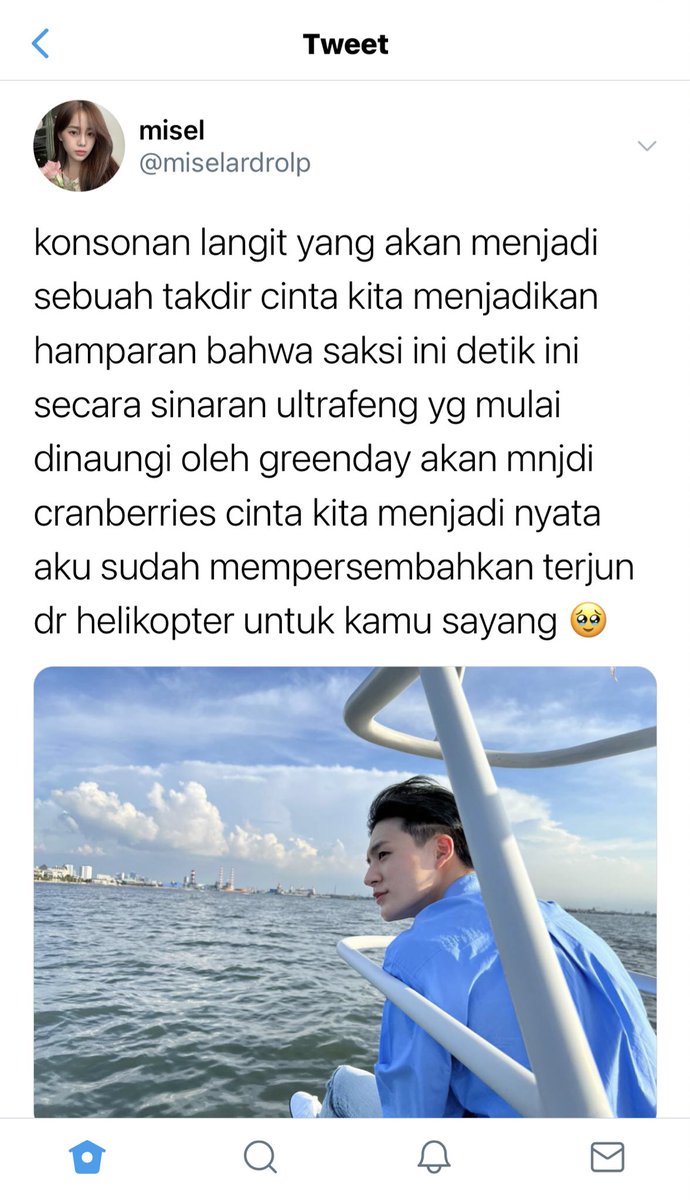 sha tweet media
