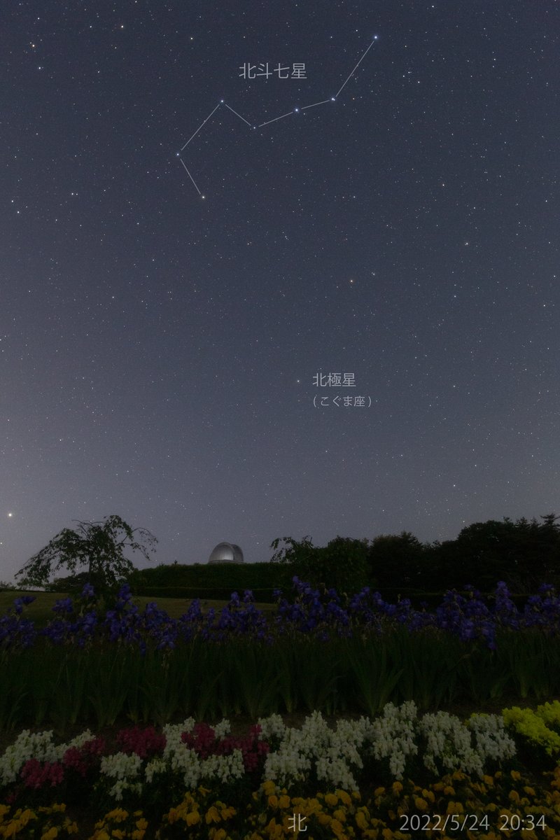 تويتر 星の観察館 満天星 على تويتر 今夜の能登の星空です 空は明るめですが 北の空にはたくさんの星が見えています 最近は夜でもそれほど寒くなく 星空が見やすい季節になってきました お住まいの地域が晴れ