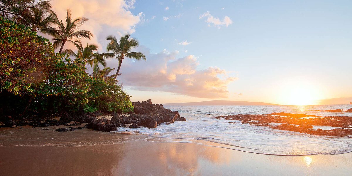 TravelLeisure's tweet image. 12 Best Tropical Vacations in the U.S. for Stunning Islands, Charming Beach Towns, and Beautiful Resorts bit.ly/38dmT01