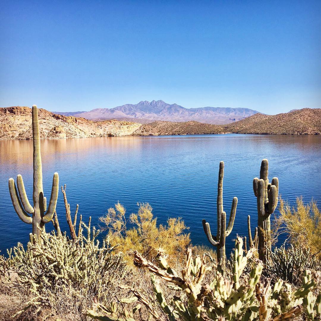 Another beautiful day out on #SaguaroLake 

📸: <a href="/blakeabel/">Blake Abel</a>
