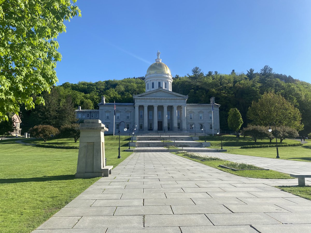 TheQuinismFdn's tweet photo. The Vermont State House in Montpelier, not far from White River Junction, home of The Quinism Foundation. The foundation supports research and education on quinism, the disease caused by poisoning from mefloquine and related drugs. Learn more: https://t.co/zFncS1UqXF. https://t.co/OtnnIkNxvo