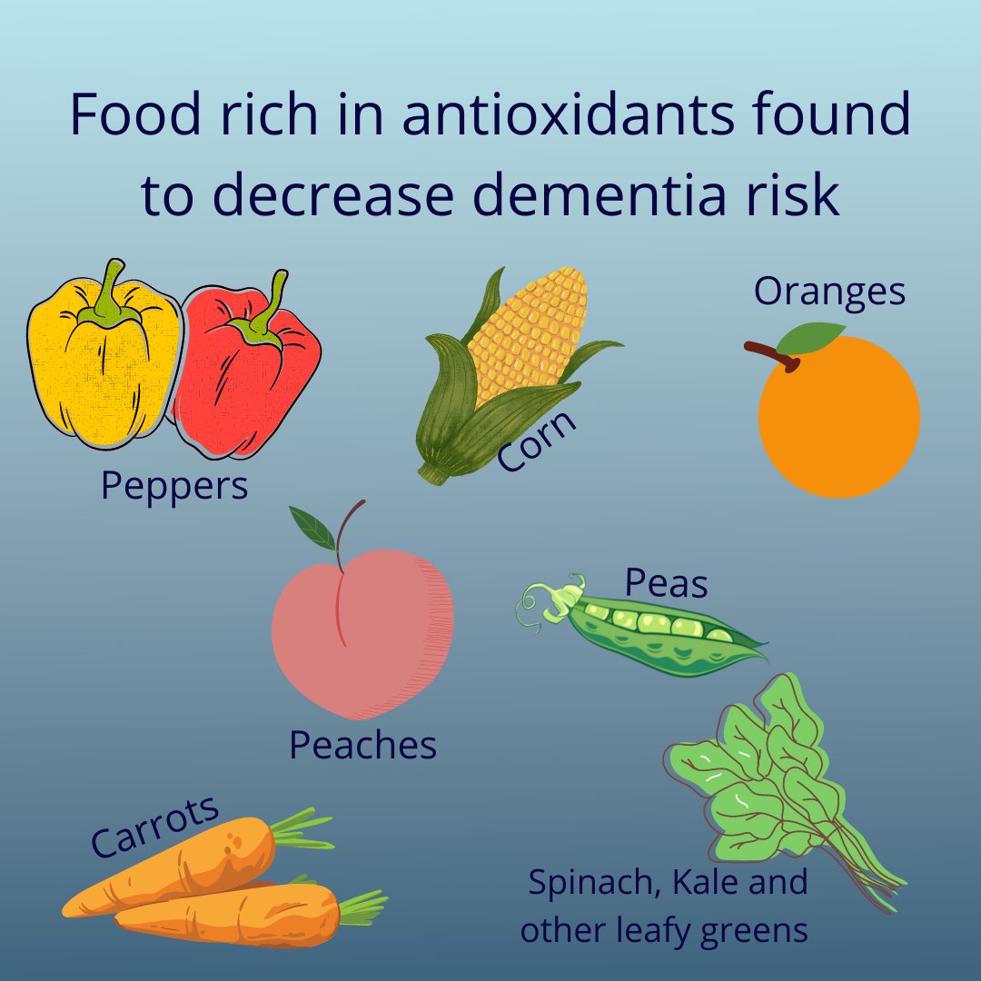 EbonyLife5's tweet photo. Research has shown that antioxidants are linked to a lower risk of dementia, with many foods being rich in antioxidants this could keep you and your brain healthy!

Read more here: https://t.co/mzpq6P0Jrn https://t.co/G2FKsl8fbe
