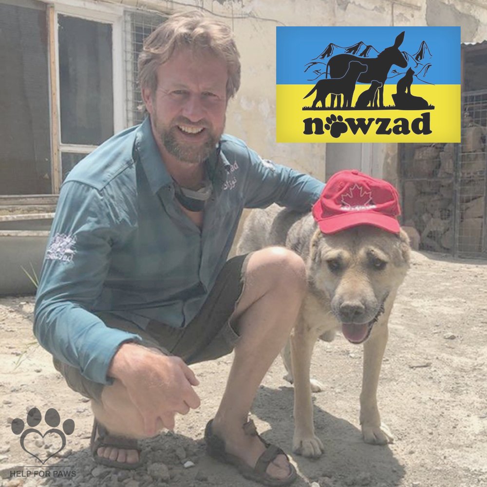 HelpForPawsUK's tweet photo. We have just made a £2,000 donation to @Nowzad - Thank you to everyone who has purchased from us ❤️ This would not have been possible without you. https://t.co/1LW2zlaMPG https://t.co/OlIYnHJ06G
