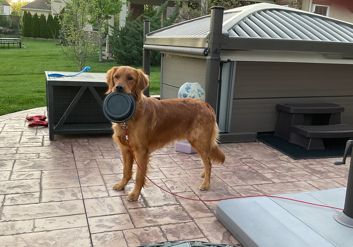 PrimAndImproper's tweet image. Decided I'm going to delay today's stream til tonight around 6pm EST so I can play set 7 PBE. Ty for understanding! Here's a cute Mochi pic to tie you over :D