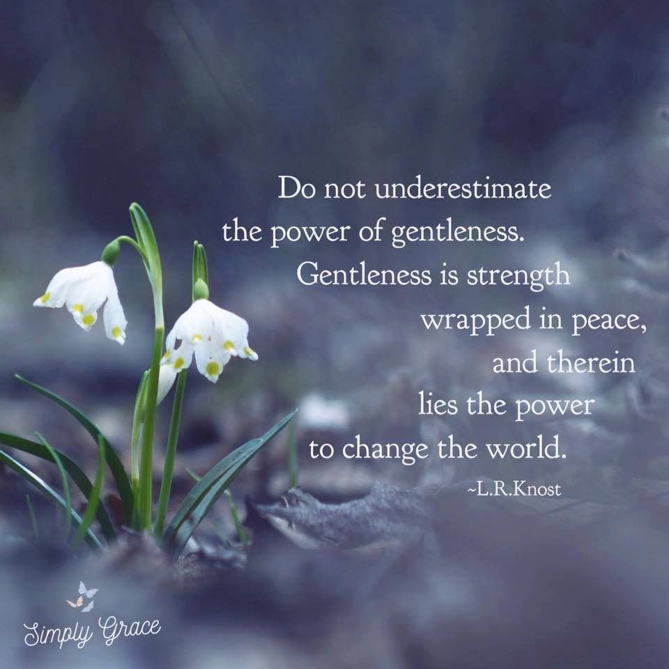 FranncescaRobi1's tweet photo. @tizzywoman #Gentleness 
#BeGentleWithOthers https://t.co/KOuD4i61N4