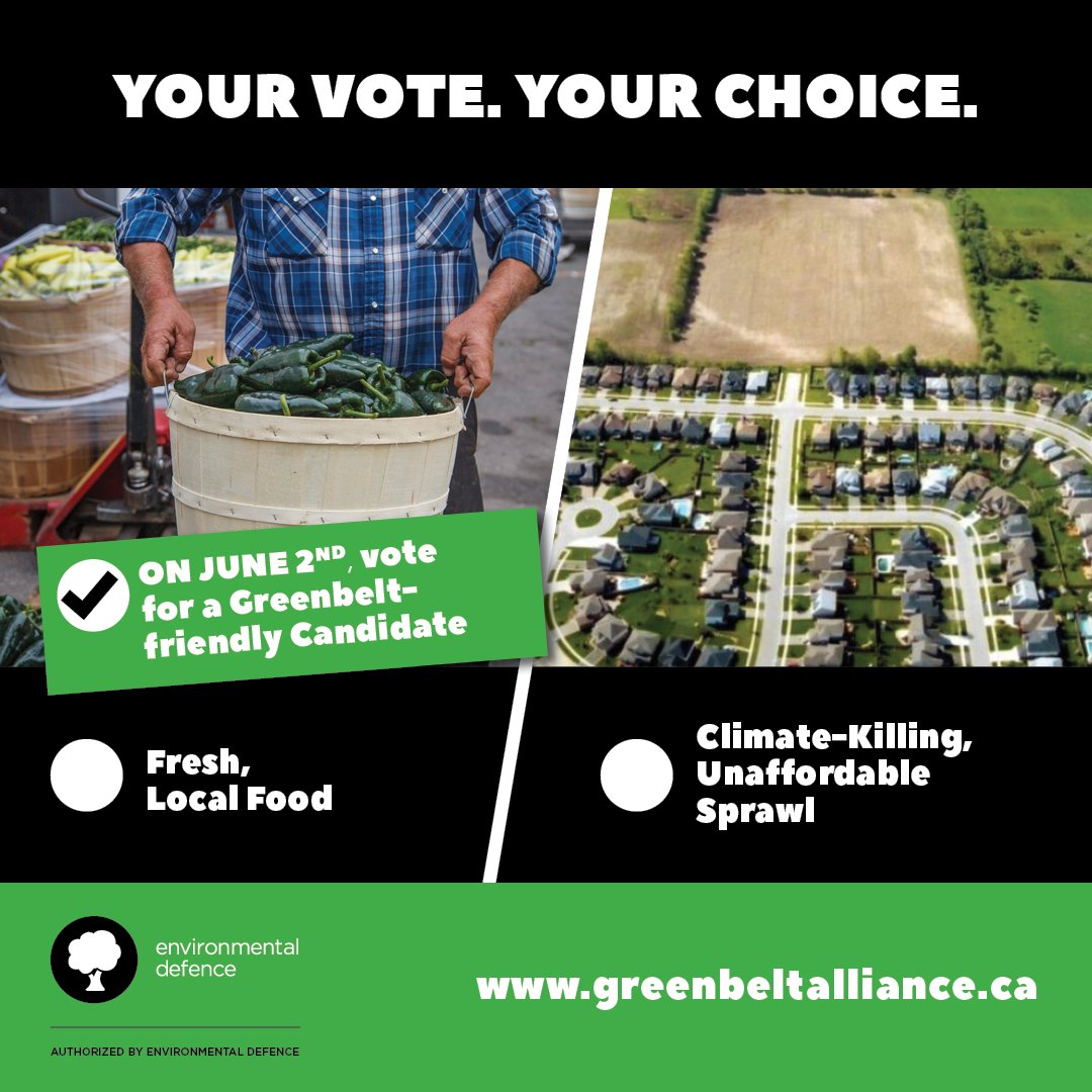 Where ever you look in the greenbelt, you will see fields growing food for our families. You won't have 'local' foods if you pave it over!

Planting time! #stopsprawl #protectthegreenbelt #vote2022 #Climatechange #stoptheBradfordBypass #localfood #protectfarmland #stopthe413