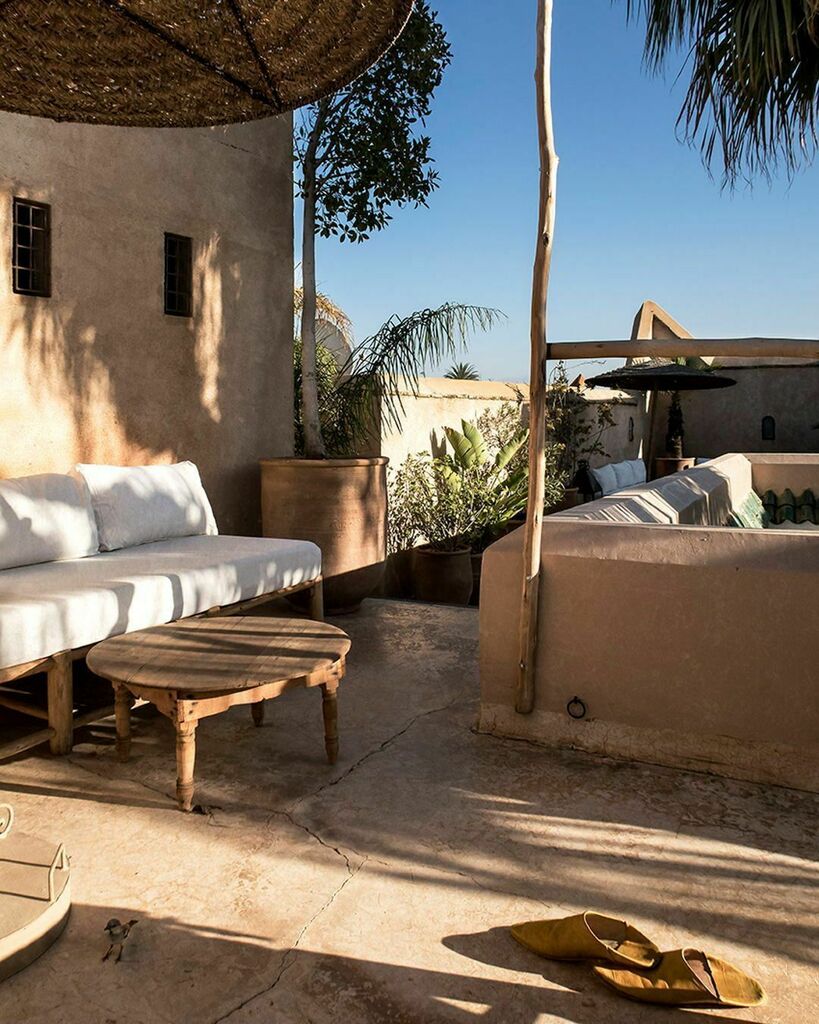 ryaddyor tweet media