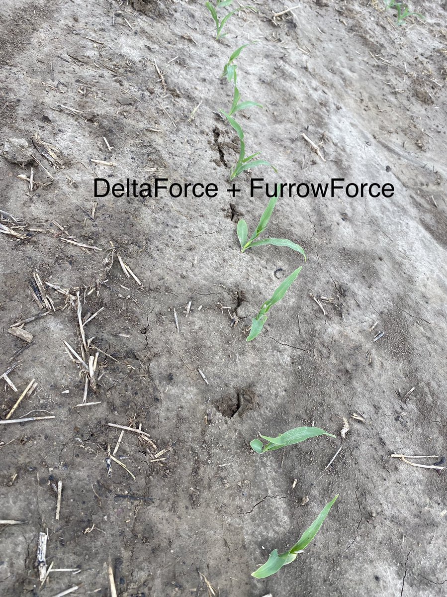 Seth Logan tweet media