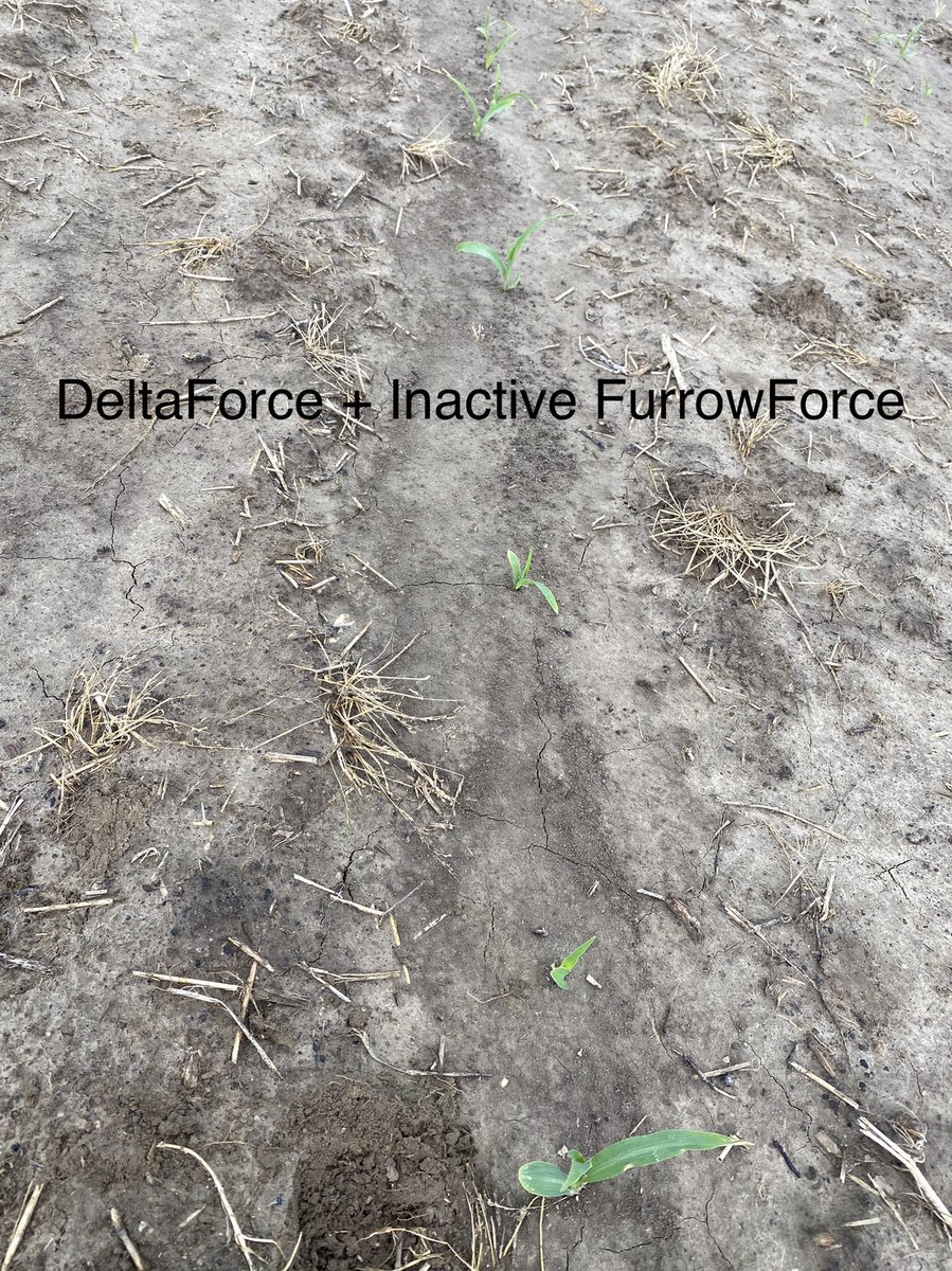 Paying attention to detail matters. 4% of this 330 acres, single plant date, are in a saturated environment, even so, planter technology made all the difference as we found 3 rows not running active FurrowForce and the results vs rows running properly were huge. @ $7 🌽thats $20K