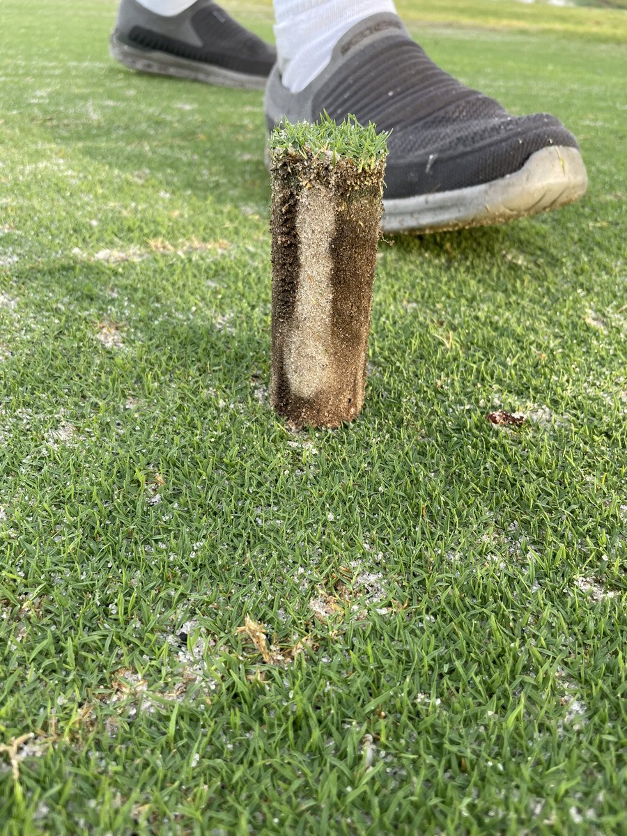 Chase_DryJect's tweet photo. Working at The Concession Golf Club today, we have @dryjectmatt from HQ helping us with the TWIN today!

This thing is a beast, nice &amp; clean with great shots!

#DryJect #PoundSand

@FESbarro https://t.co/7SVWugyo2f