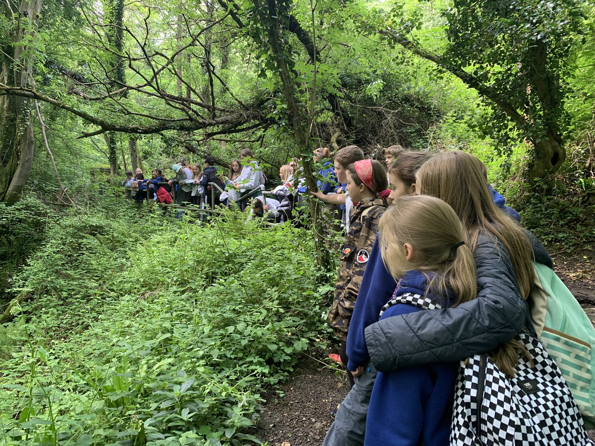 gilwern_school's tweet photo. #GilwernYear5 and #GilwernYear6 took a walk around our local area and up to Clydach iron works to explore how things have changed since the industrial revolution #waywayback #humanities @EAS_Humanities #ethicalinformedcitizens https://t.co/wv3XGdP9Au