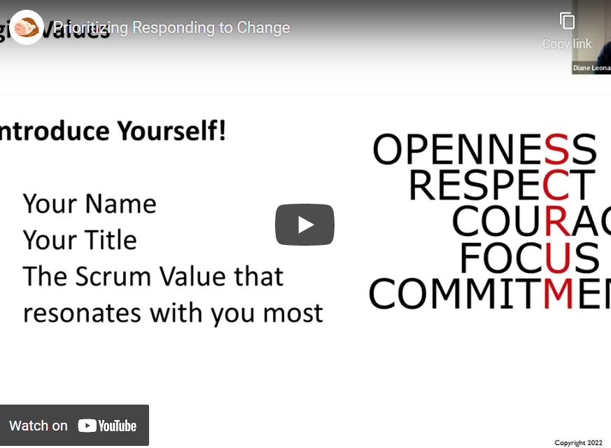 bloomerangTech's tweet photo. [VIDEO] Prioritizing Responding to Change https://t.co/poJLGoATaQ via @DianeHLeonard https://t.co/j58WWdGr1Z