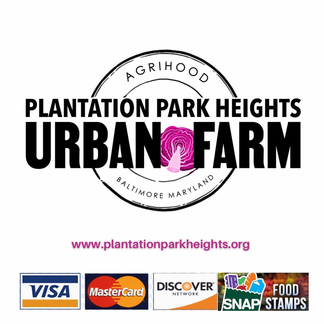 CleanerFoods's tweet photo. our #urbanagriculture squad train and develop in various urban farming practices such as #FarmersMarkets, #culturallyappropriatefoods and #ClimateProofSolutions that will include those who were left out of the development conversation prior to COVID-19.
#blackgirlmagic #loyalty https://t.co/ENclSFVydY