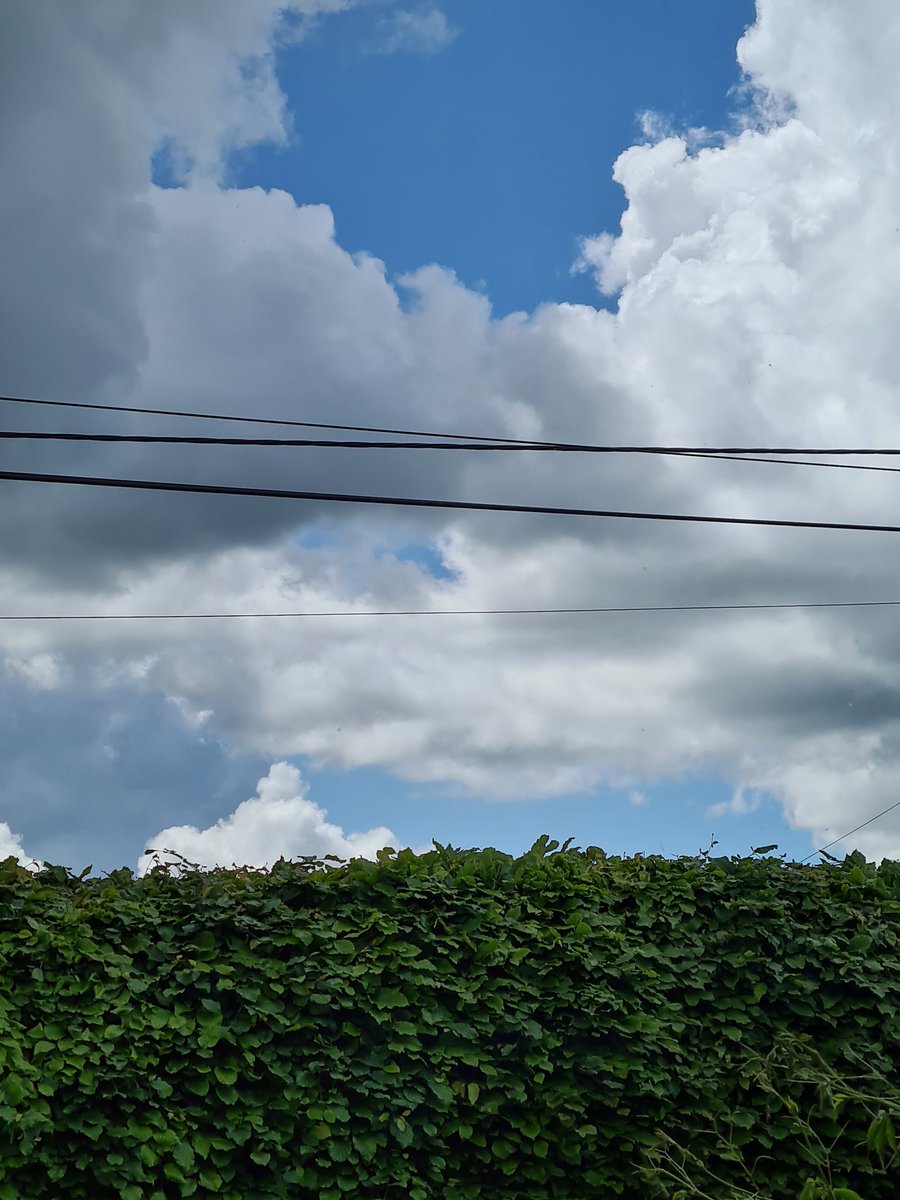 Some nice cloud around today and thunder.