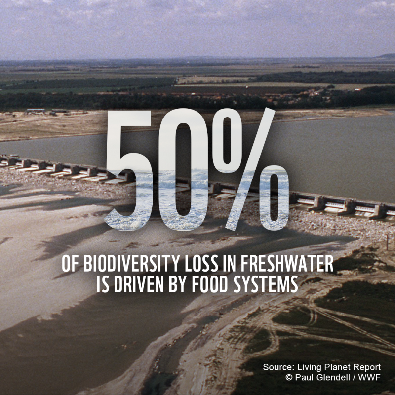 WWF's tweet photo. 🌿All of us rely on nature to thrive.

But our relationship with nature is broken. If we work together, we can prevent &amp; reverse the damage to our planet 🌎

RT to call on world leaders to urgently put #nature protection at the heart 💚 of what they do 🤝 

#NaturePositive #WEF22