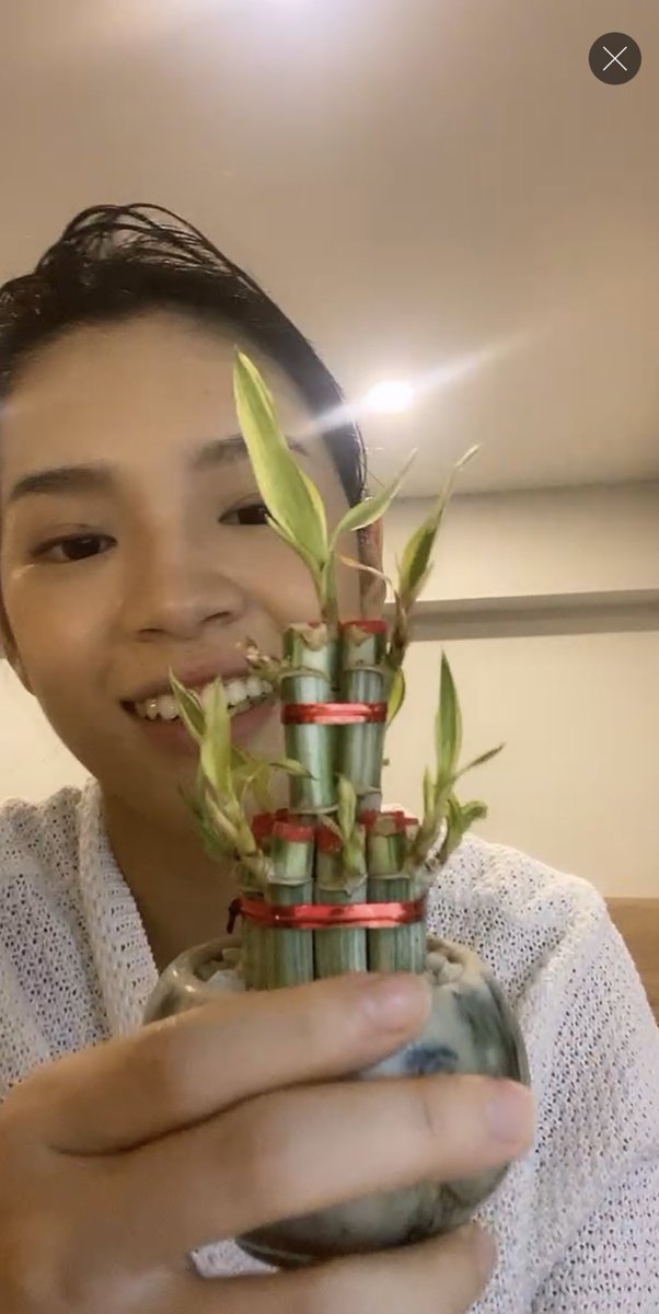 P'Cher and her new friends 🪴🌱

#แมวมาTalk
#CherprangBNK48