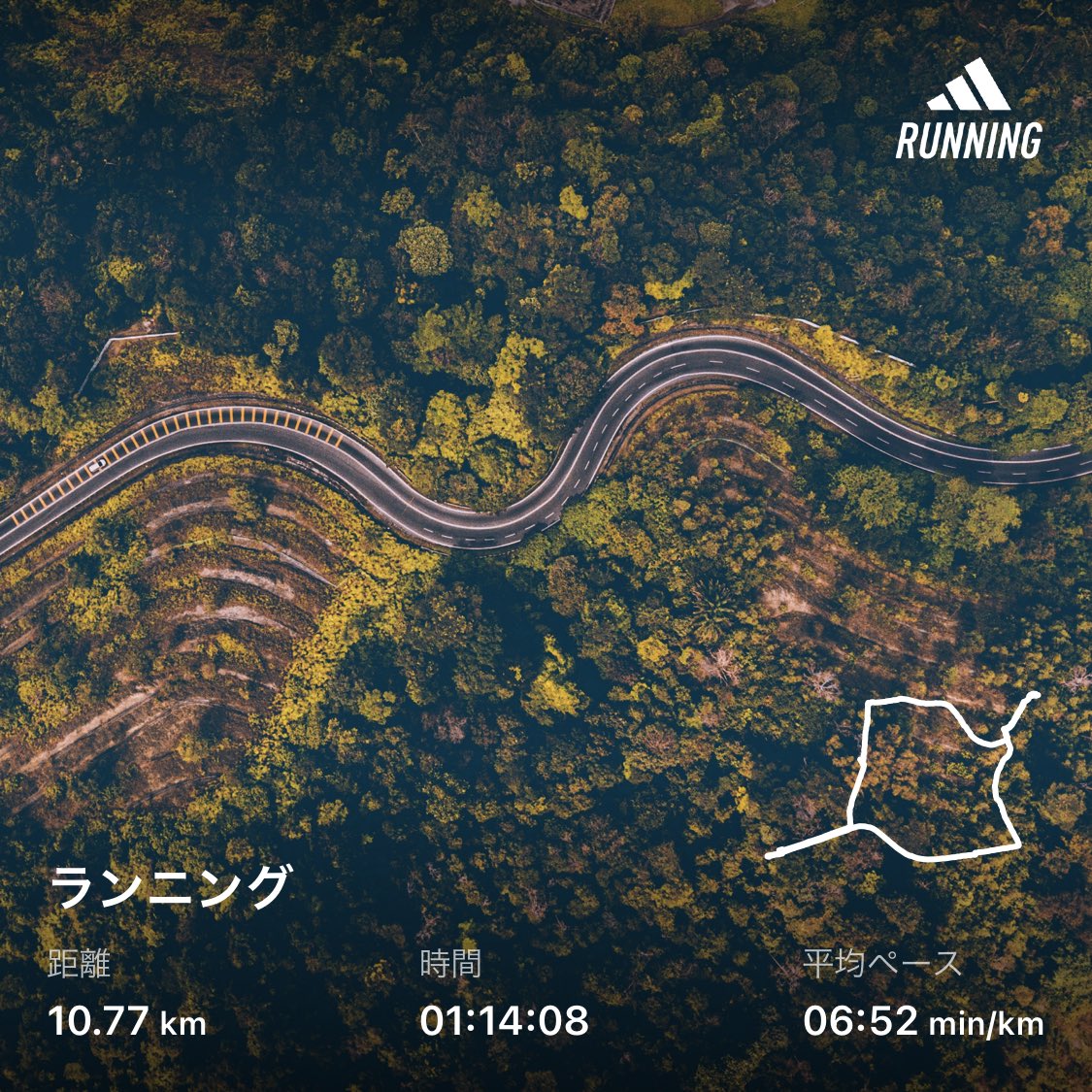 tsussie24's tweet image. 