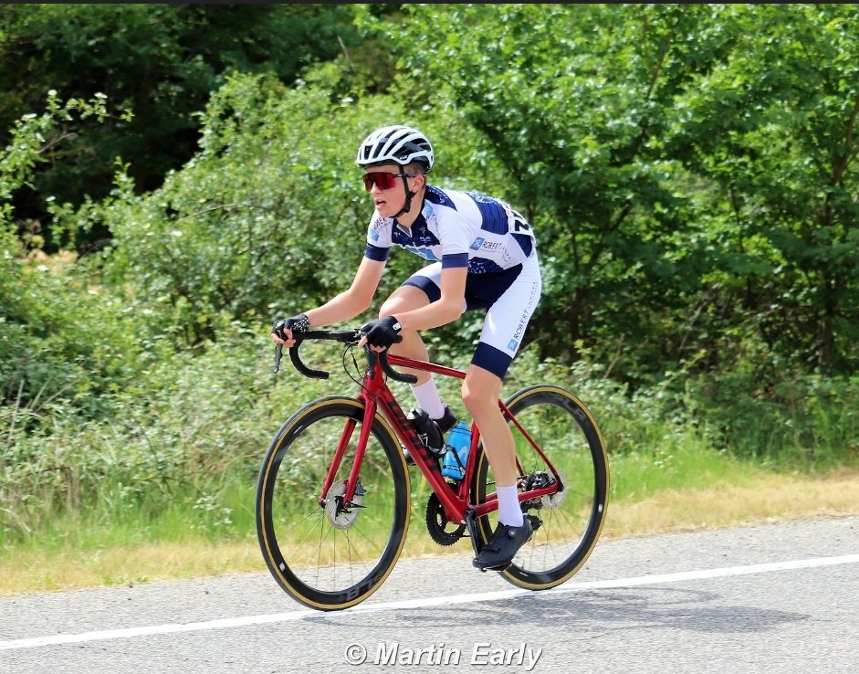 Ccestella/LizarraTe tweet media