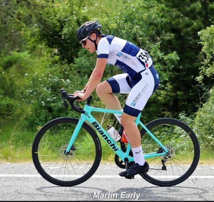 Ccestella/LizarraTe tweet media