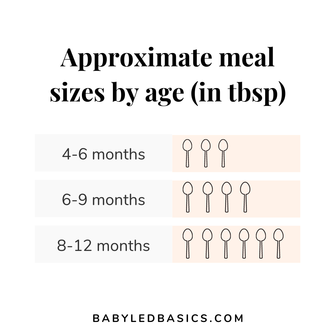 New to baby-led weaning? Don't panic if your little one only eats a bite or two at first. Learning to eat takes time and breastmilk/ formula remains their primary source of nutrition in the early days of eating. 🥦🍎🍐🥕
.
Here are the approximate meal sizes by age. Some