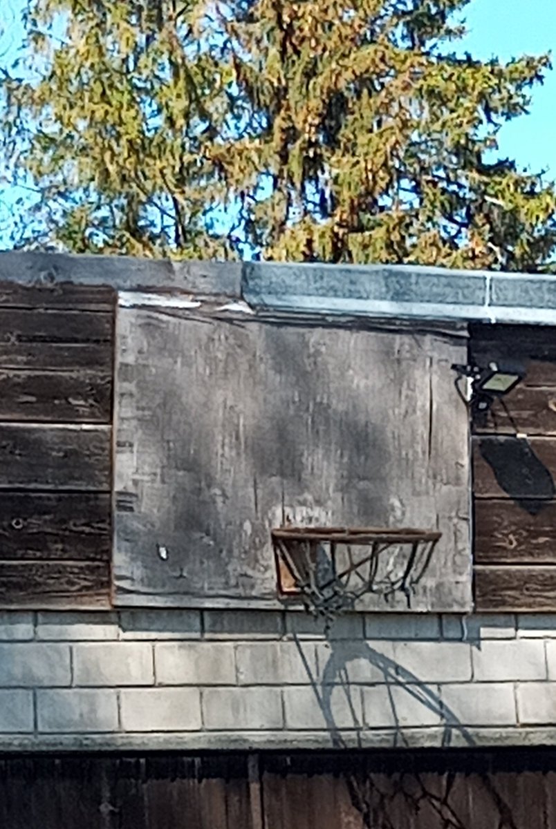 LukaBassin's tweet photo. Hoop of the day #Viimsi #Estonia 🇪🇪 https://t.co/7x5DzMSpdH