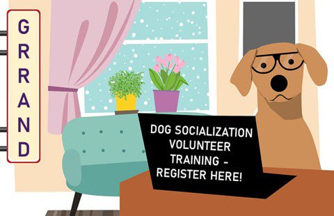 Interested in #volunteering with @GRRAND over the summer? If you love dogs, check us out!

Please consider joining the GRRAND Socialization Team and spreading the word to friends and family! Click here to fill out an app cstu.io/ea7093