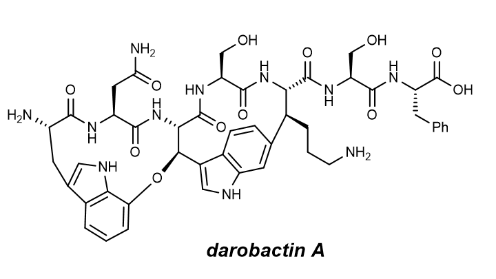 Check our collaborative synthesis of antibiotic #darobactin with Merck scientists! doi.org/10.26434/chemr…