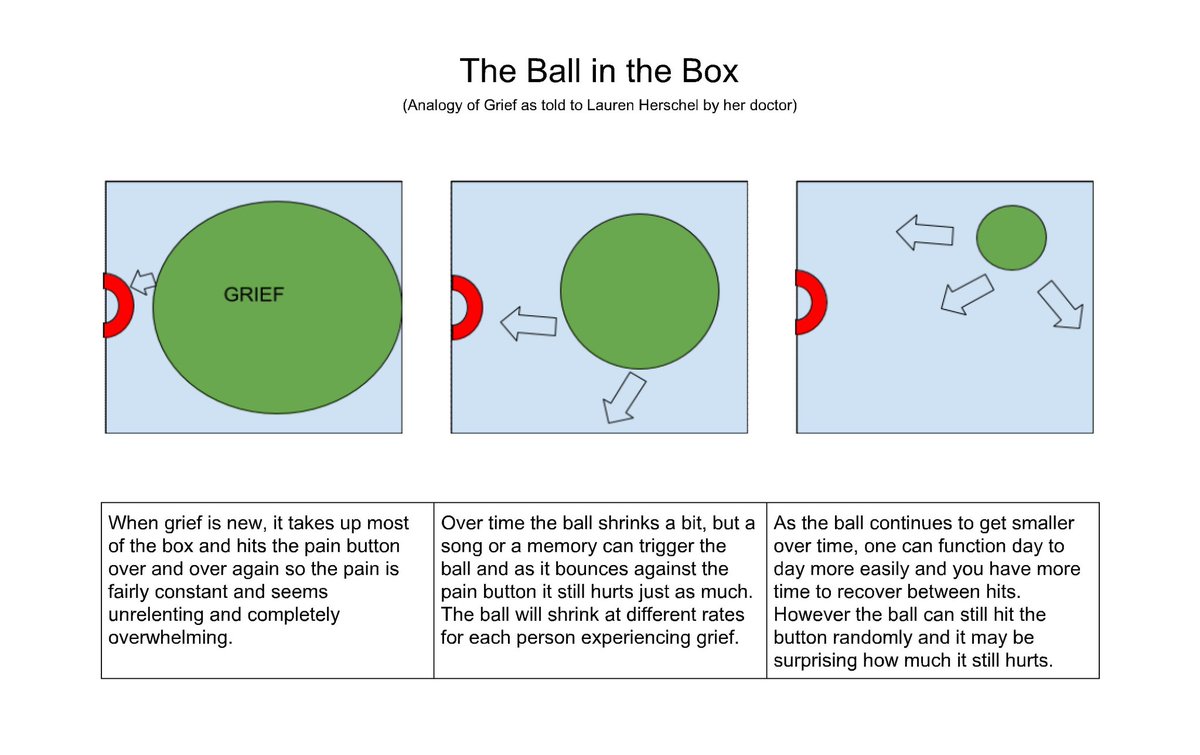 Dr Gaby Tazzini tweet media