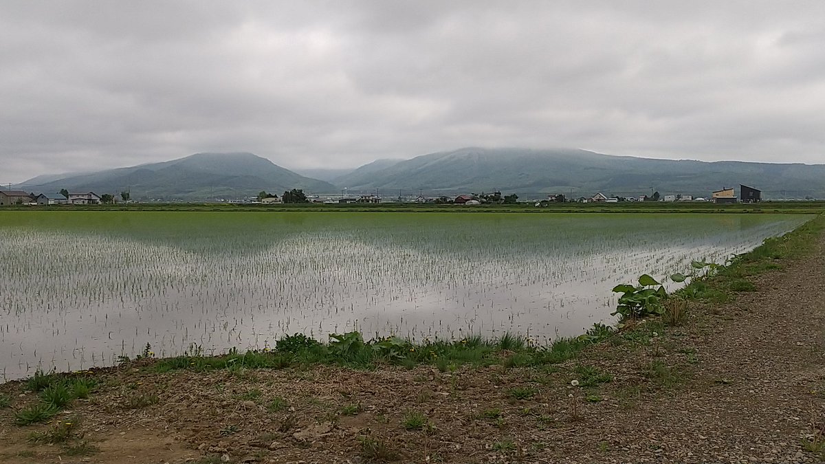 donrandonran photo