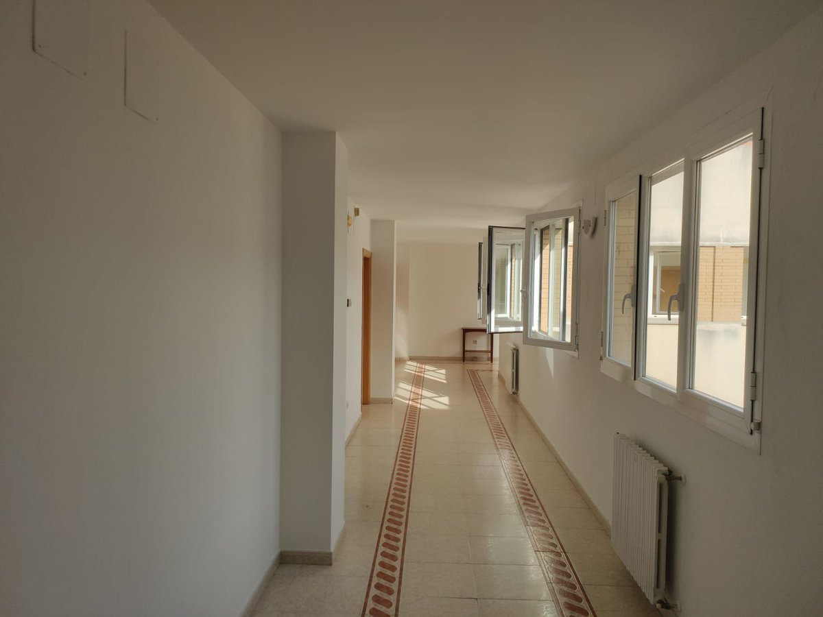 ResidenciaSACC's tweet photo. ¡Todavía estás a tiempo de matricularte en nuestra Residencia para la próxima temporada!

¡Pide tu cita y ven a conocernos! 

📱 607 217 824 (Ernesto Bravo, Director)

✉️ info@residenciasanantoniocaceres.es

#Cantera @SanAntonioCc @Caceres_Basket https://t.co/NNA7k8uqJ3