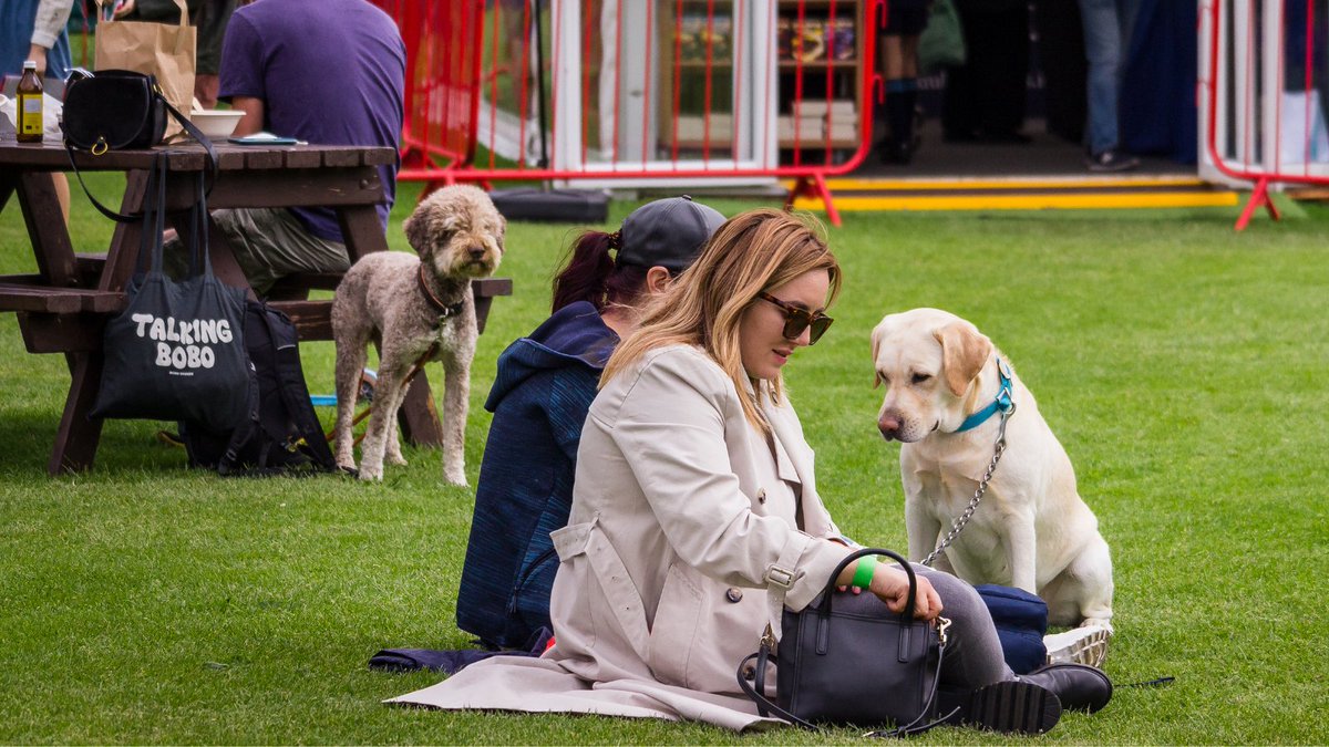 poetryireland's tweet photo. The Literary Village at Merrion Square Park #Dublin is the place to be for people &amp; pooches! Join us this evening at 7pm for the first of three evenings of electrifying poetry showcases
Introductions | Céadlínte 
@ILFDublin 

Full line-up &amp; book: 
https://t.co/kauZOiznZ5 https://t.co/baasPVyD7i