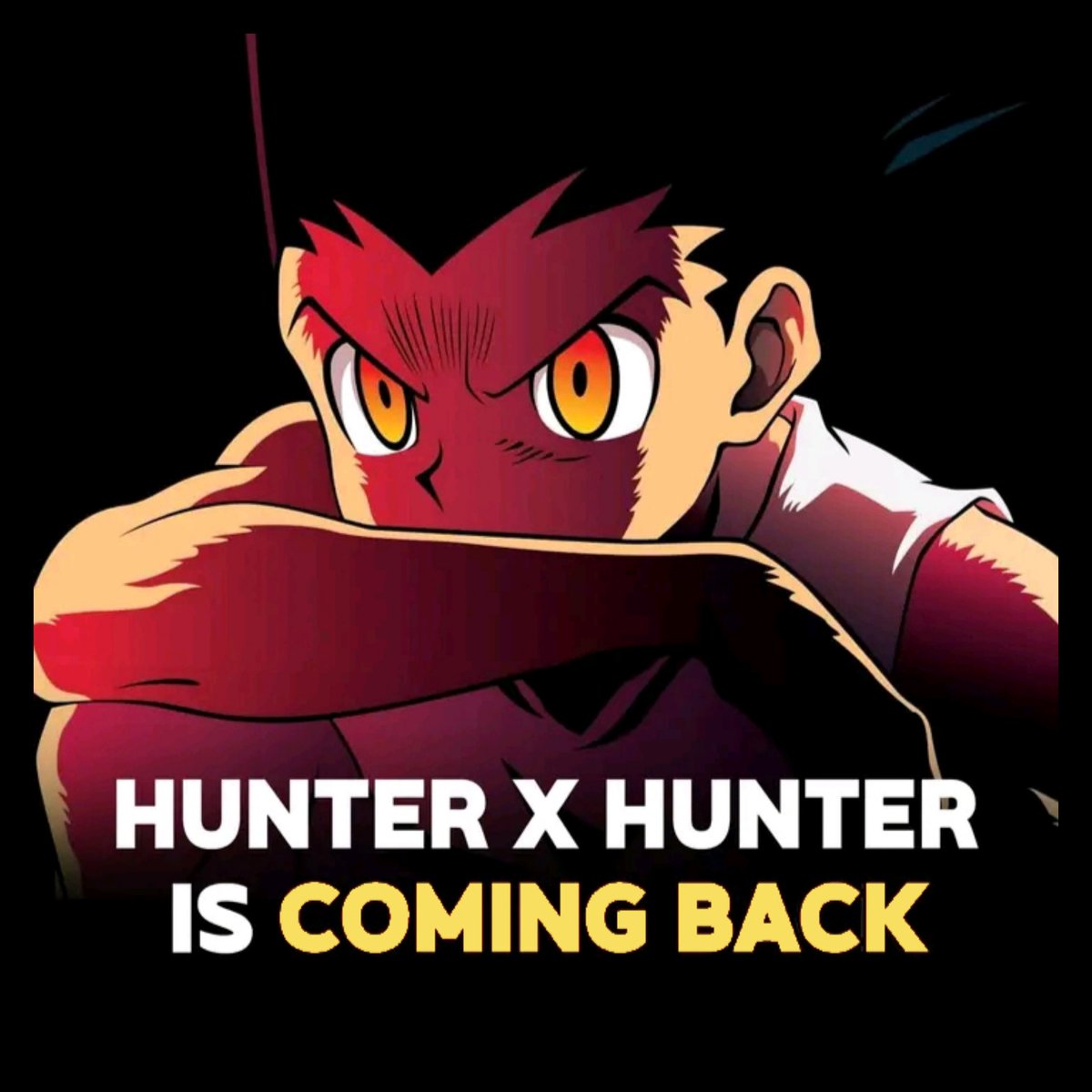 Hunter x Hunter is back on @Netflix - Yoshihiro Togashi