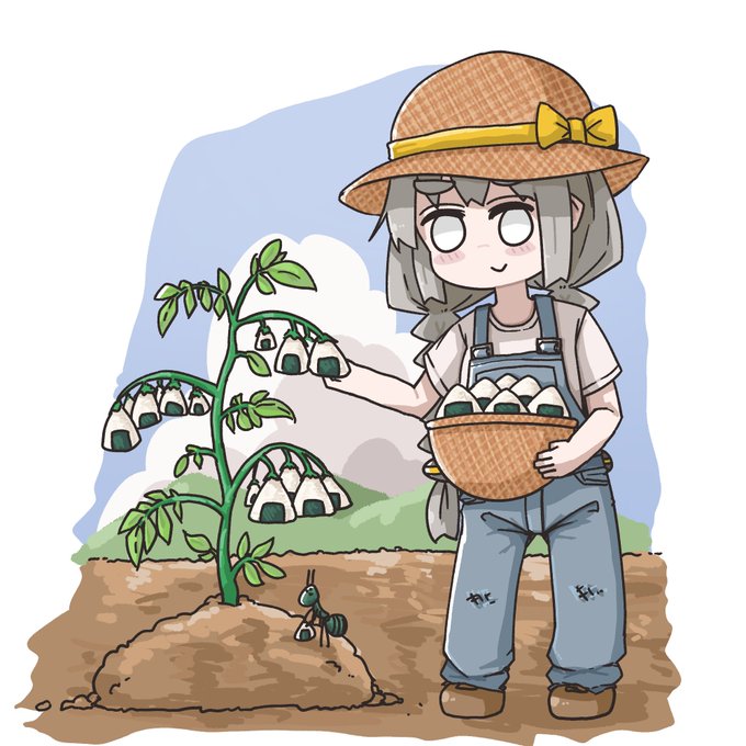 おにぎりの栽培が今年も始まる… 