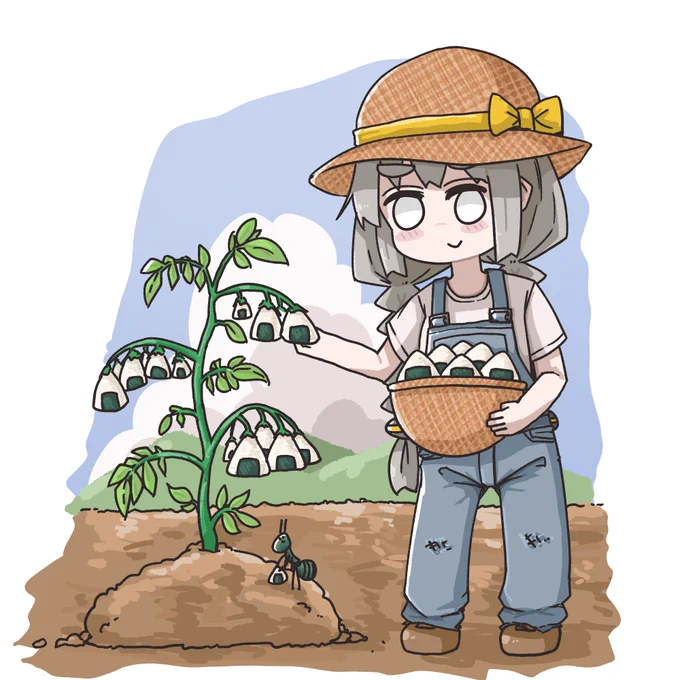 おにぎりの栽培が今年も始まる… 