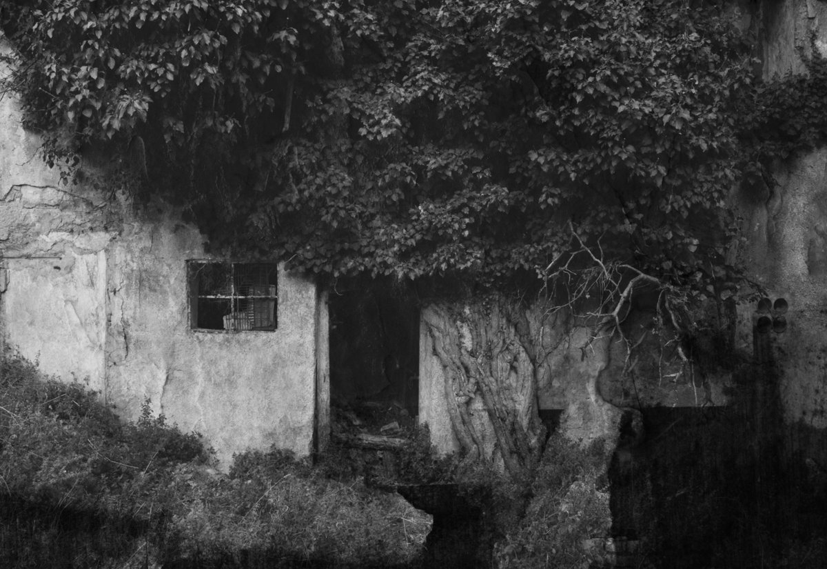 New work on <a href="/objktcom/">objkt</a> ✨

"No one will find us here"
3 $XTZ (10/12)

objkt.com/asset/hicetnun…