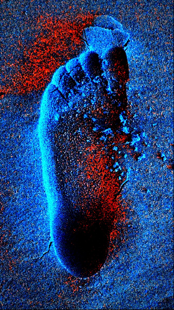 #foto #fotografie #photography #colors #sand  #beach #nature

pexels.com/photo/12247027/

Photo by David Underland