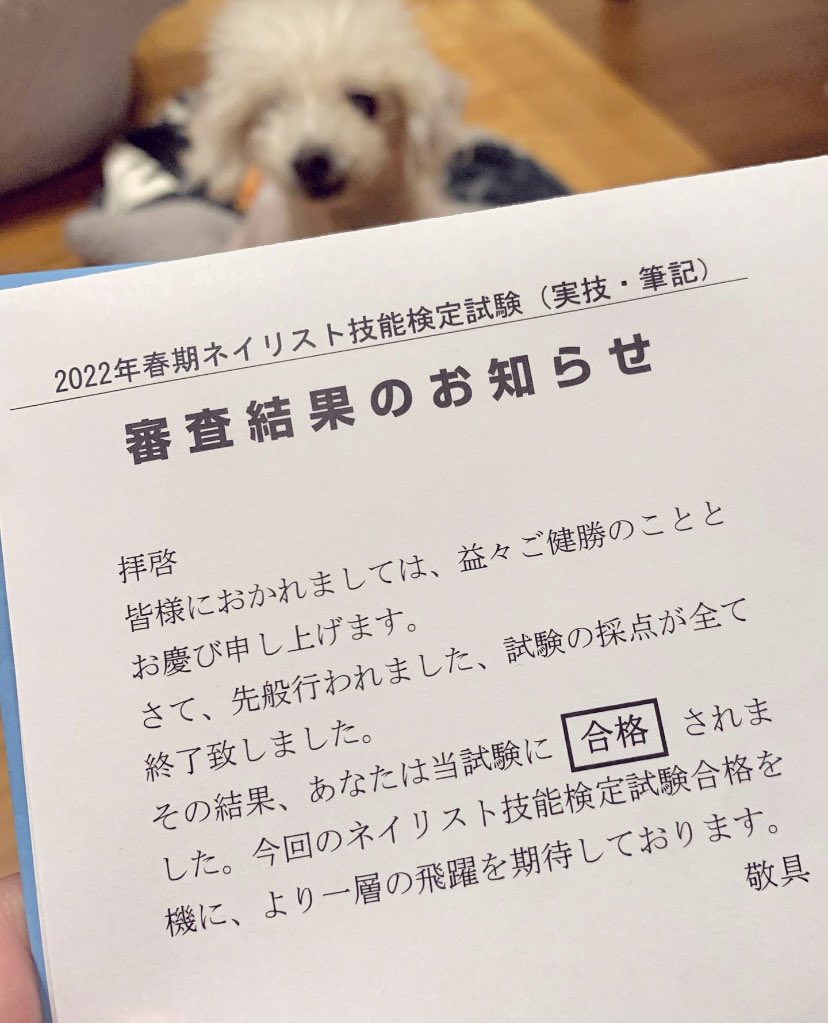 ネイリスト検定２級 Twitter Search Twitter