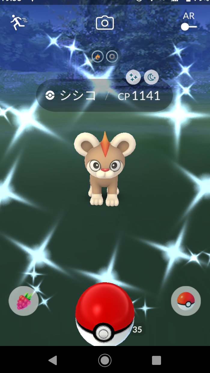 きりぼしなべこん 今日はすごい シシコ色違い初ゲットです 女の子 でした シシコ ポケモンgo色違い ポケモンgo Pokemongo T Co Mjyryozywr Twitter