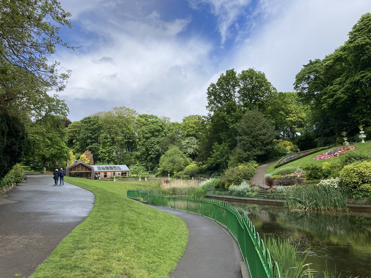 simonfrosdick's tweet photo. Green Flag Awards judging time and my office for the day is Northumberland Park. Spotted the woodpecker busy feeding her young and ignoring me. @GreenFlagAward https://t.co/5eWxkuGIqQ