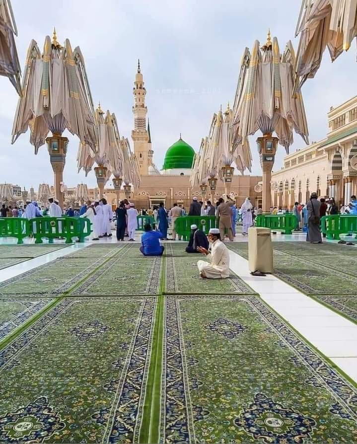 Shams Tabrez Alimi 💡 🇮🇳 tweet media
