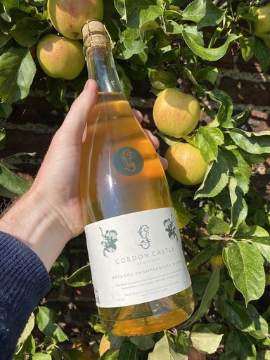 DrinkGordonCastle tweet media